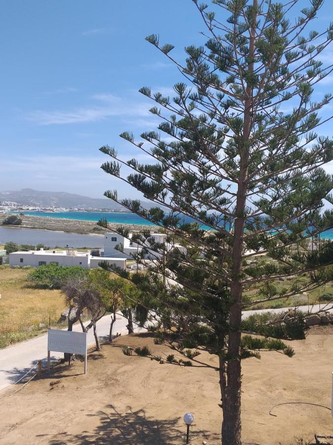 アギオス・プロコピオスPanoramic Viewアパートメント エクステリア 写真