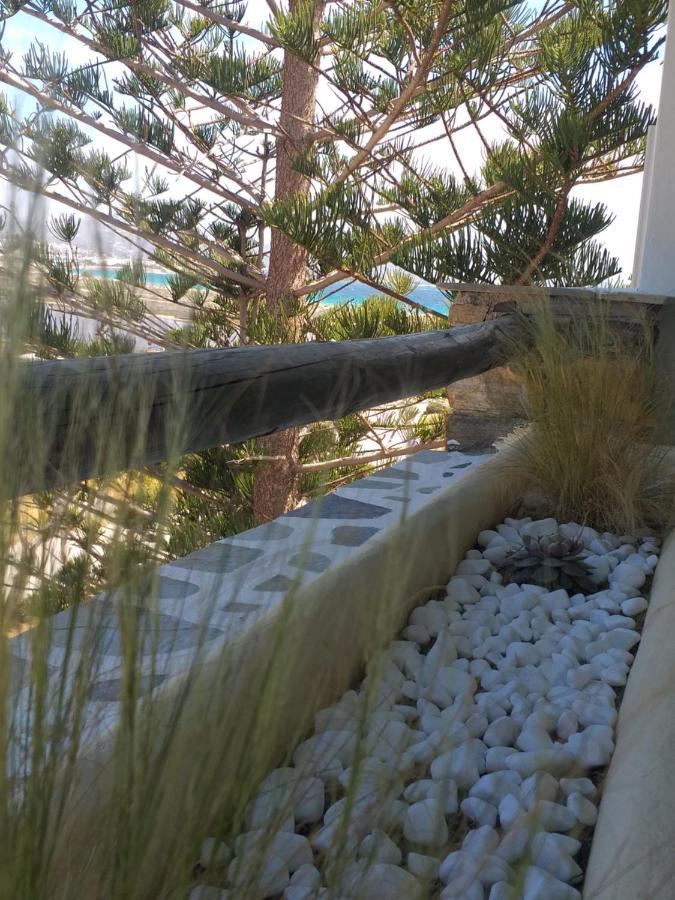 アギオス・プロコピオスPanoramic Viewアパートメント エクステリア 写真